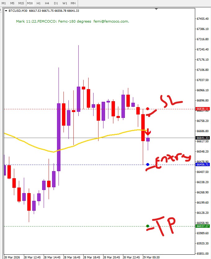 MT4-Trading Indicator- FEMC_180D