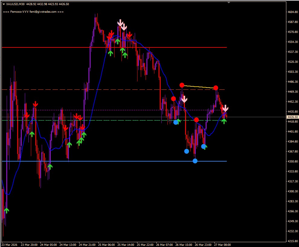 MT4-Trading Indicator- FEMC_VPAW